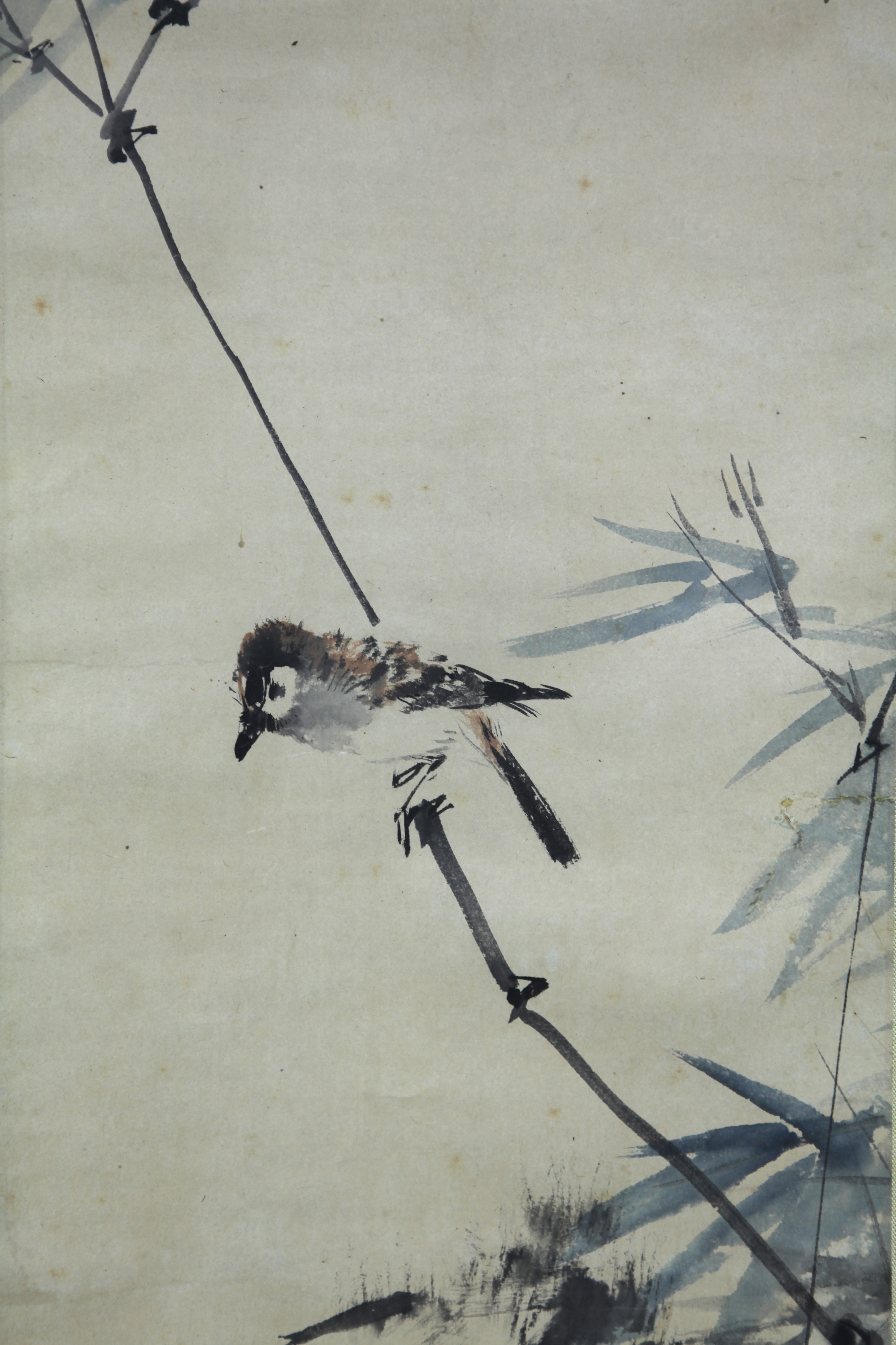 真作】【風車】 松林桂月 「竹石小禽」◎肉筆紙本 西野新川極箱◎山口