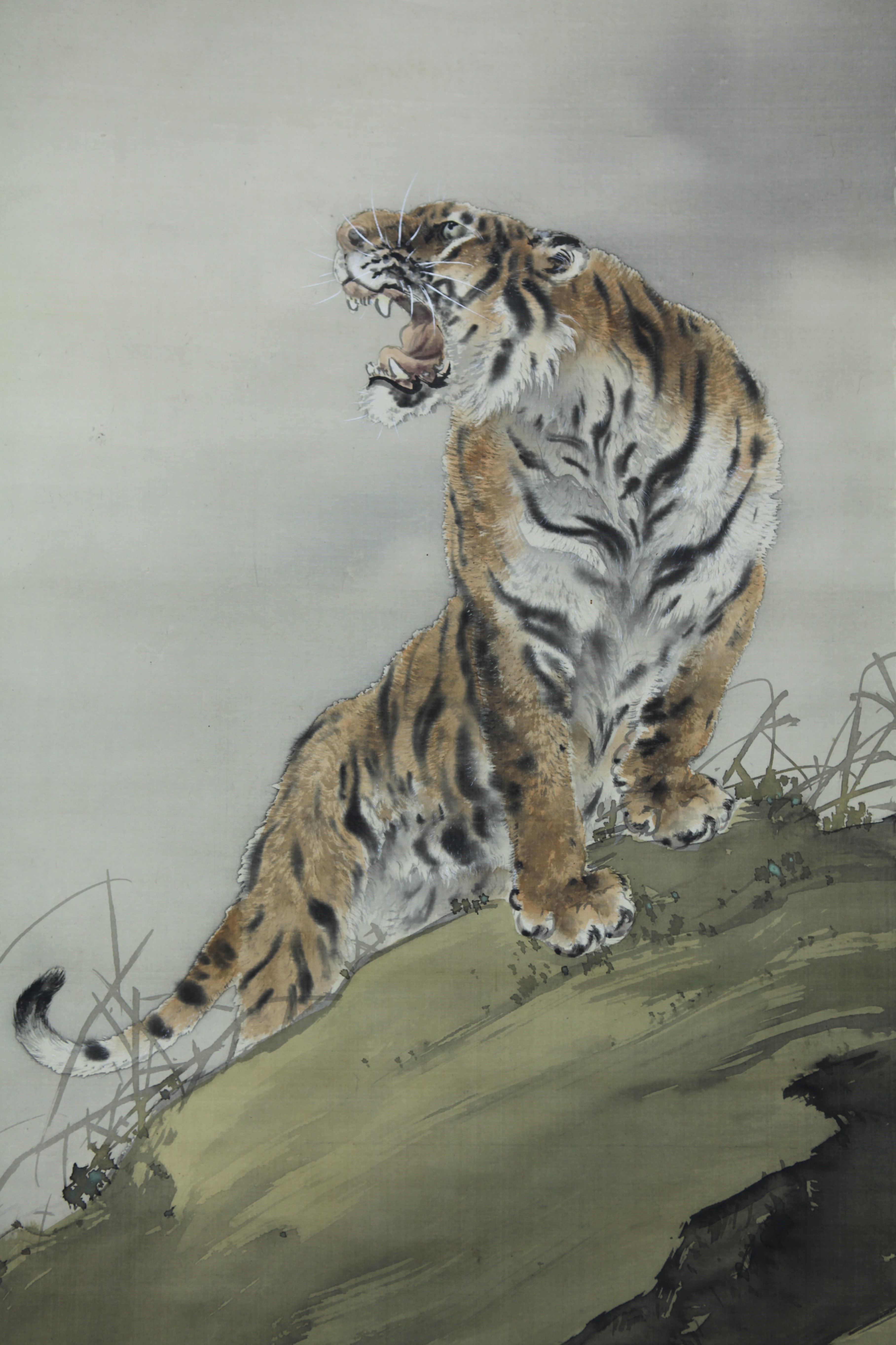 蔵出】武田頼恭 「猛虎図」◎肉筆絹本◎明治-昭和時代の日本画家